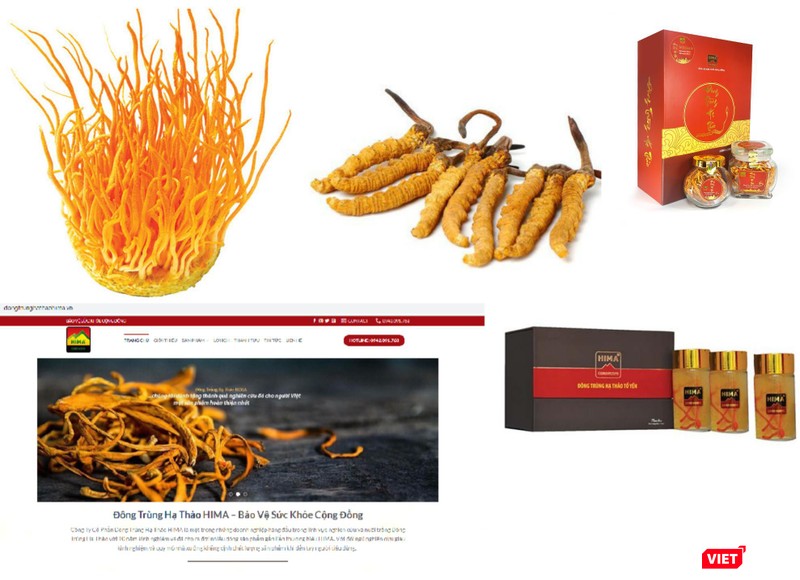 Phát hiện cơ sở thẩm mỹ nổi tiếng tại TP.HCM hoạt động không phép ảnh 1 Quảng cáo “nổ” sai sự thật, Công ty Đông Trùng Hạ Thảo bị xử phạt