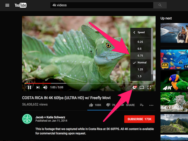 Các mẹo sử dụng Youtube có thể bạn chưa biết ảnh 5