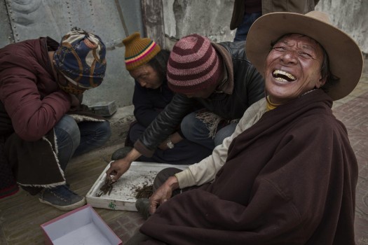 Tuy nhiên, các nhà hoạt động vì môi trường cảnh báo, việc khai thác đông trùng hạ thảo quá mức có thể dẫn đến xói mòn đất đồng cỏ ở sườn núi và ảnh hưởng tới chăn nuôi tại khu vực.