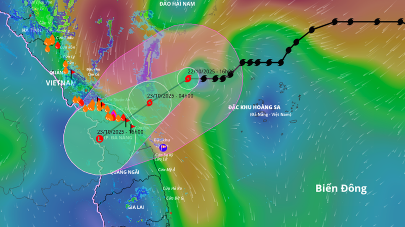 Ảnh chụp Màn hình 2025-10-22 lúc 19.51.20.png
