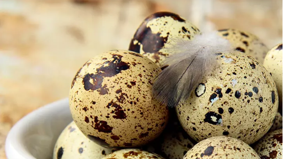 Những lợi ích 'thần kỳ” của hành tây và lưu ý khi dùng ảnh 4 Những lợi ích tuyệt vời của trứng cút