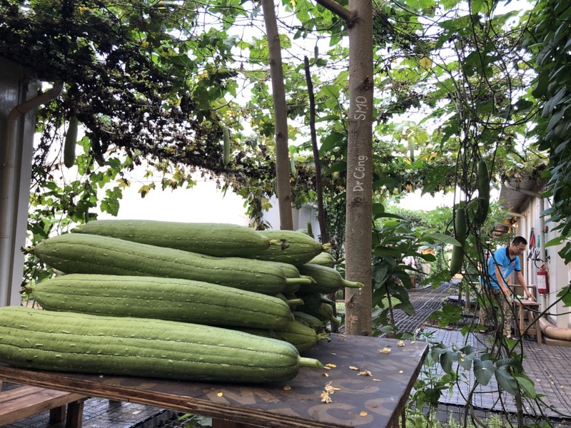 Các chiến sĩ Việt Nam phối hợp thực hiện nhiệm vụ với tăng gia sản xuất, cải thiện bữa ăn hàng ngày và chiêu đãi bạn bè quốc tế. Ảnh: Trung tá Bùi Đức Thành Các chiến sĩ Việt Nam phối hợp thực hiện nhiệm vụ với tăng gia sản xuất, cải thiện bữa ăn hàng ngày và chiêu đãi bạn bè quốc tế. Ảnh: Trung tá Bùi Đức Thành