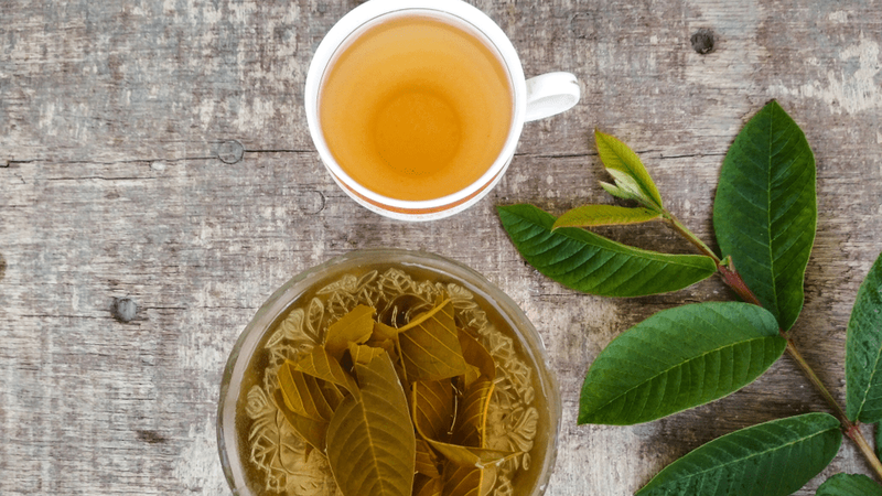 Bất ngờ bé trai 18 tháng tuổi bị sùi mào gà ảnh 2 Bất ngờ với công dụng của lá ổi