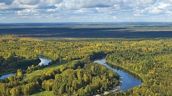 Đầm lầy than bùn là “kẻ phá hoại” hay cứu nguy thế giới khỏi sự nóng lên của khí hậu?