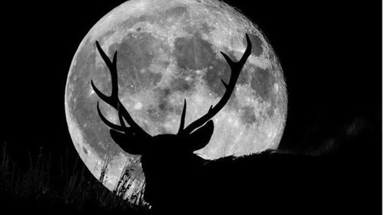 Đón xem những hiện tượng thiên văn kỳ thú trong tháng 7