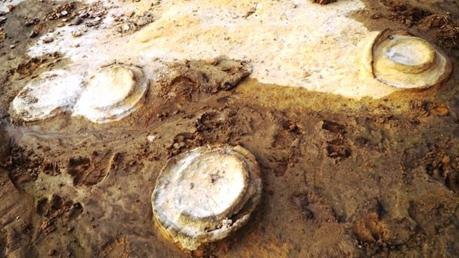 Phát hiện hóa thạch góp phần khẳng định vùng đất Tây Nguyên từng là biển