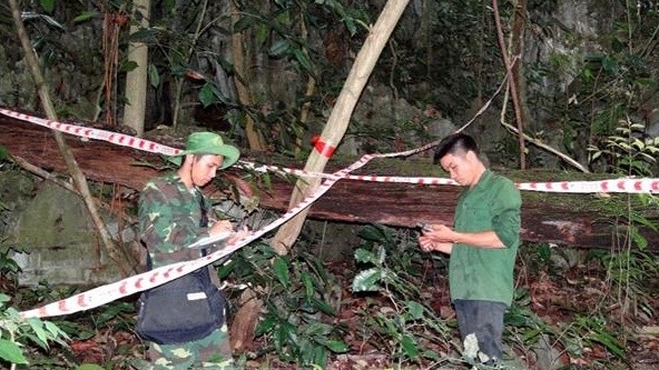 Phát hiện Gấu ngựa và Cầy vằn Bắc trong Danh lục đỏ Thế giới tại rừng Pù Luông