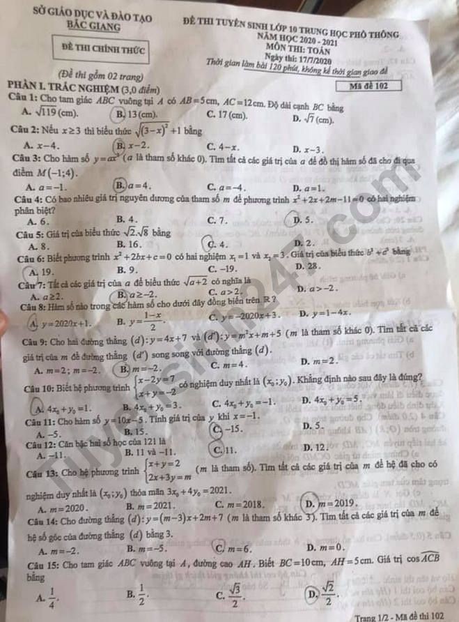 Đề thi tuyển sinh vào lớp 10 môn Toán tỉnh Bắc Giang năm 2020. Ảnh: TTHN