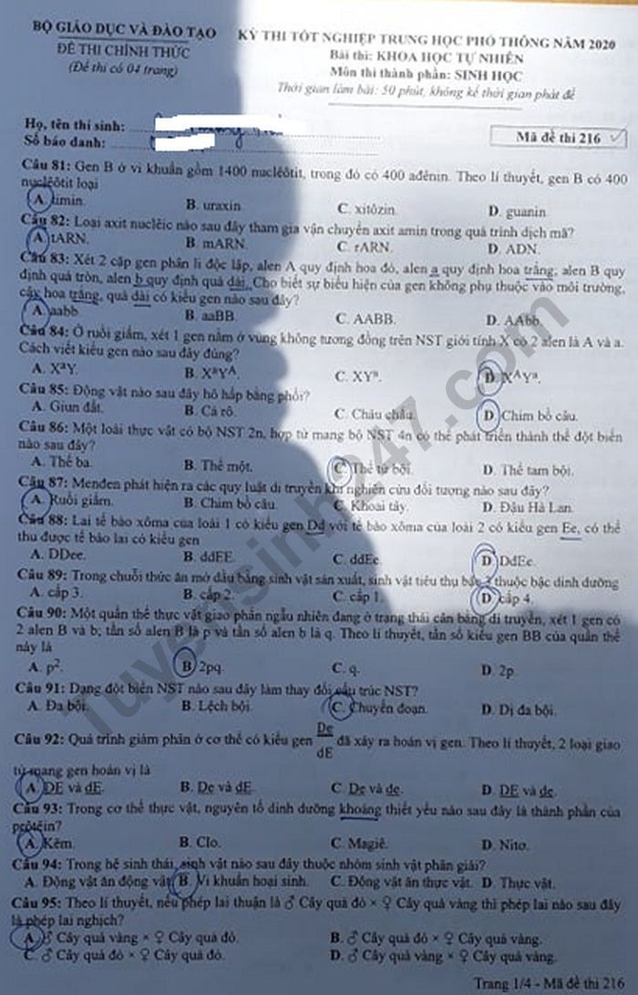Đề thi tốt nghiệp THPT năm 2020 môn Sinh học mã đề 216. Nguồn: TTHN