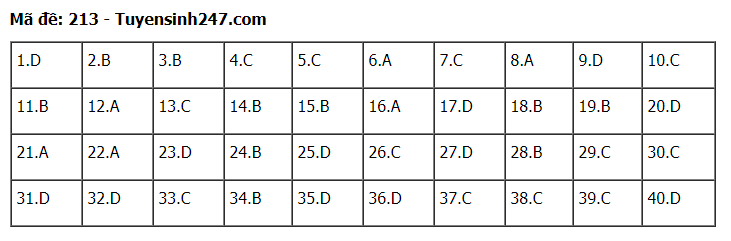 Đáp án tham khảo đề thi tốt nghiệp THPT năm 2020 môn Vật Lý mã đề 213. Nguồn: TTHN