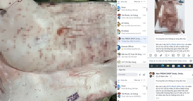 Sóc Trăng lập đoàn kiểm tra các điểm chăn nuôi, gồm C.P. Việt Nam sau tố cáo trên Facebook