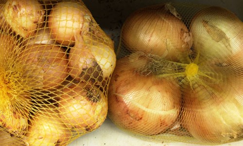 Hành tây Việt (trái) và hành Trung Quốc (phải)