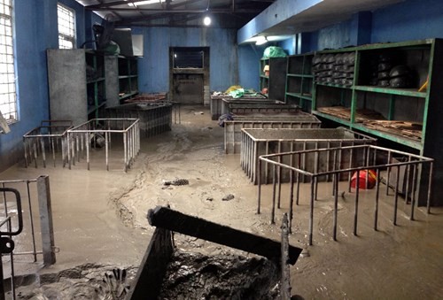 Nhiều vựa than tan hoang sau mưa lũ ở Quảng Ninh ảnh 7