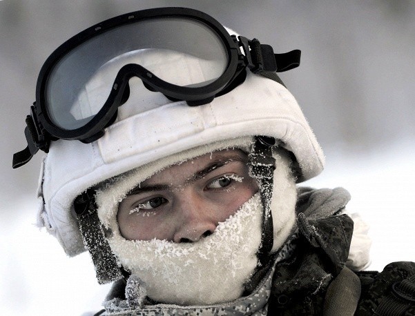 Clip tuần lộc và chó kéo xe tham gia huấn luyện tác chiến của Nga ảnh 9