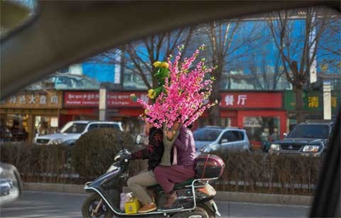 Xem người dân các nước tưng bừng đón Tết Bính Thân ảnh 10