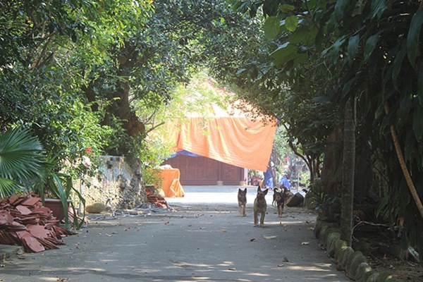 Qua giám sát, Q.Liên Chiểu thấy việc tháo dỡ của ông Quang chậm tiến độ.