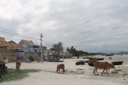 Một góc làng chài Bá Hà 1, nơi có nhiều người mưu sinh bằng nghề thợ lặn. Ảnh: N.BĂNG Một góc làng chài Bá Hà 1, nơi có nhiều người mưu sinh bằng nghề thợ lặn. Ảnh: N.BĂNG