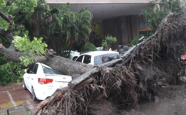 Bão đi vào đất liền, Hà Nội mưa lớn, gió giật cấp 9 ảnh 1