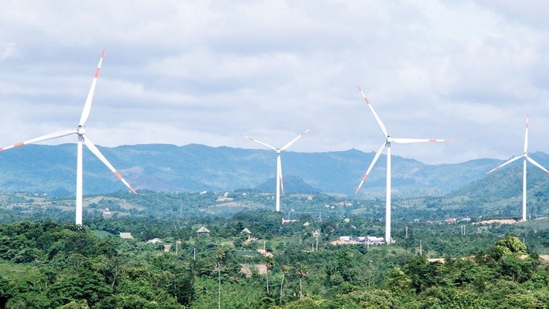 Ảnh minh họa (Nguồn: IPA Quảng Trị)