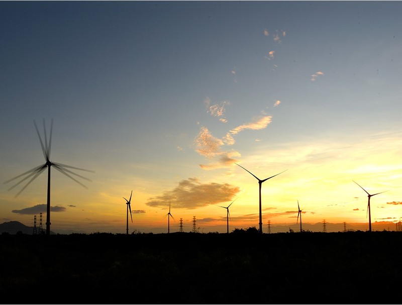 Điện gió Trung Nam tại Ninh Thuận (Nguồn: Trung Nam Group)
