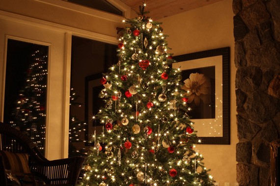 Khẩu độ và tốc độ màn chập là 2 yếu tố quan trọng quyết định ảnh của bạn có đủ sáng hay không (Ảnh: Picturecorrect)