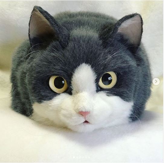 Phải là một người rất yêu mèo mới có thể làm ra được những sản phẩm như vậy (Ảnh: Instagram)