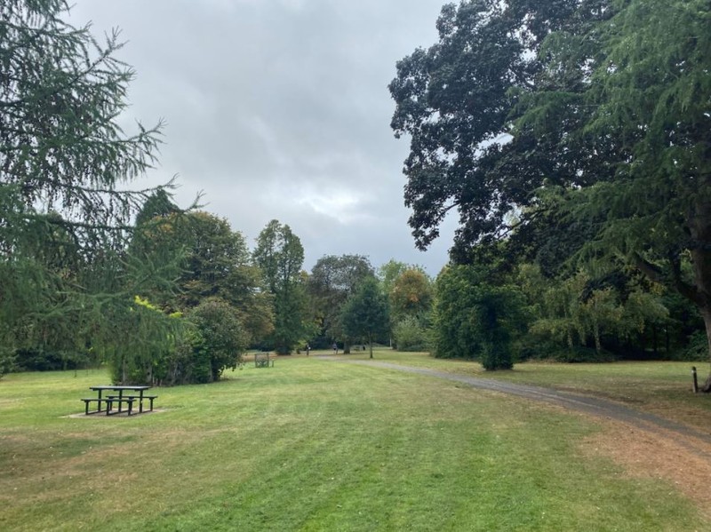 Ảnh chụp trong điều kiện đủ sáng trên iPhone 11 Pro Max (Ảnh: Tech Radar)