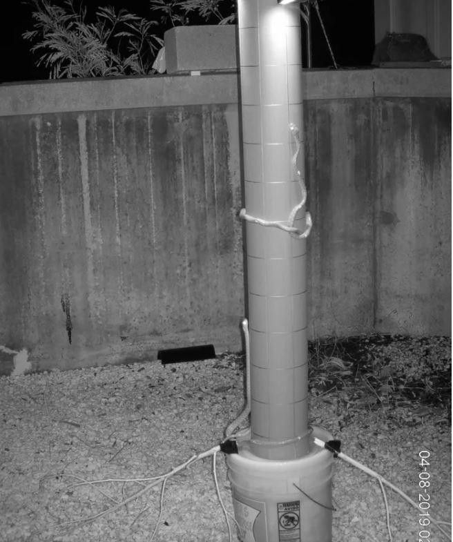 Tuy giúp cho loài rắn có thể leo lên những địa hình khó, nhưng cách di chuyển này khiến cho chúng mất rất nhiều sức (Ảnh: Science Alert) Tuy giúp cho loài rắn có thể leo lên những địa hình khó, nhưng cách di chuyển này khiến cho chúng mất rất nhiều sức (Ảnh: Science Alert)