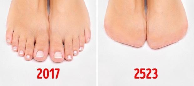 Ngón chân sẽ bị biến mất trong tương lai (Ảnh: Hack Spirit)