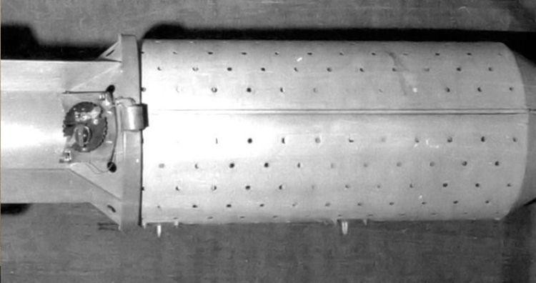 Bom dơi (Ảnh: Wikimedia) Bom dơi (Ảnh: Wikimedia)