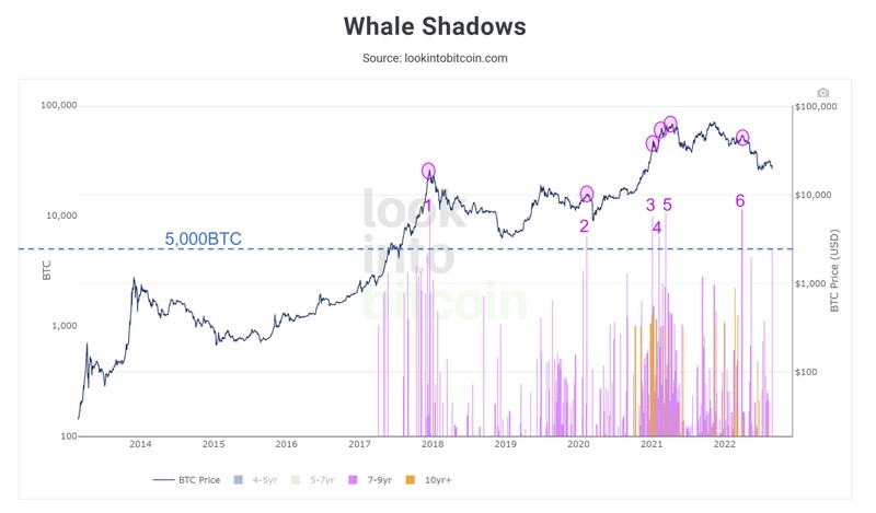 Biến động giá Bitcoin khi 'cá voi thức giấc' (Nguồn: lookintobitcoin.com)