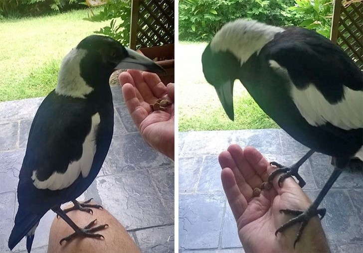 Ảnh: BrightSide Ảnh: BrightSide