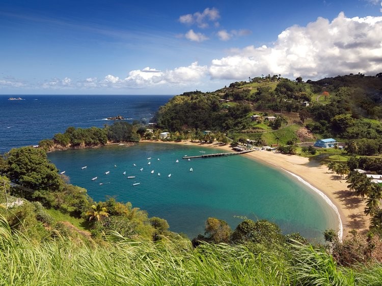 Ảnh: Business Insider