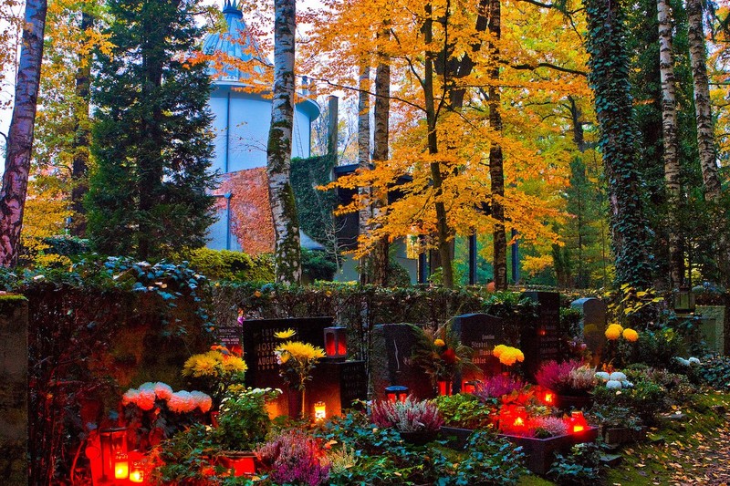 Ảnh: Business Insider Ảnh: Business Insider