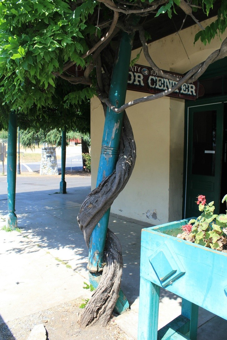 Ảnh: BrightSide Ảnh: BrightSide