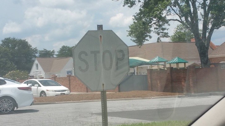 Ảnh: BrightSide Ảnh: BrightSide