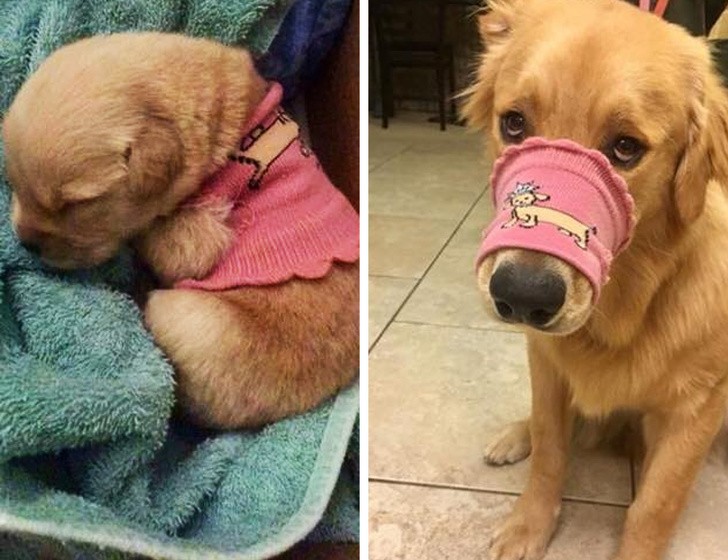 Ảnh: BrightSide Ảnh: BrightSide