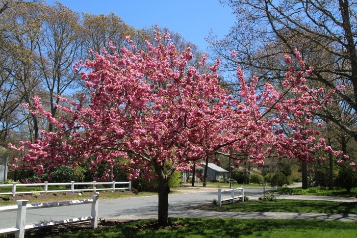 Ảnh: BrightSide Ảnh: BrightSide