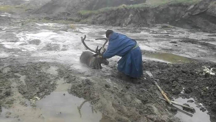 Ảnh: BrightSide Ảnh: BrightSide