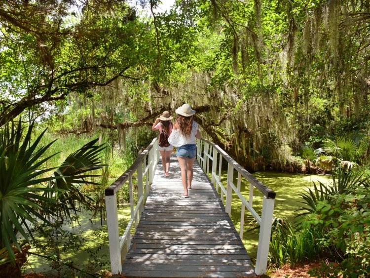 Vườn mộc lan và vườn ở Charleston, Nam Carolina. Ảnh: Shutterstock.