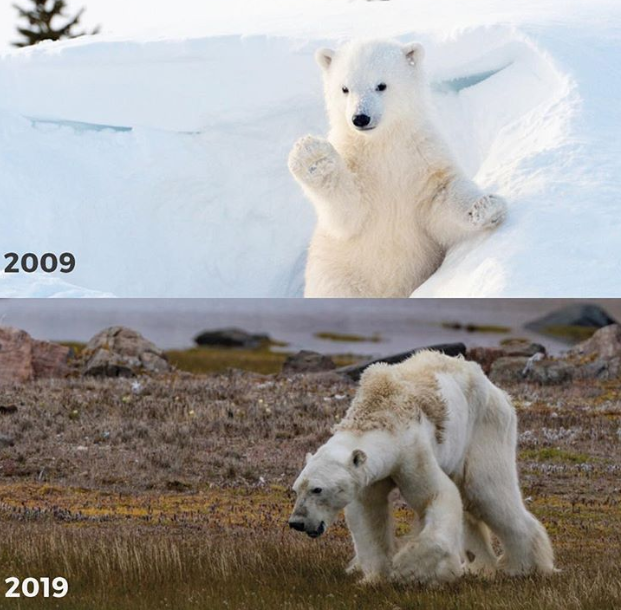 Ảnh: BrightSide Ảnh: BrightSide