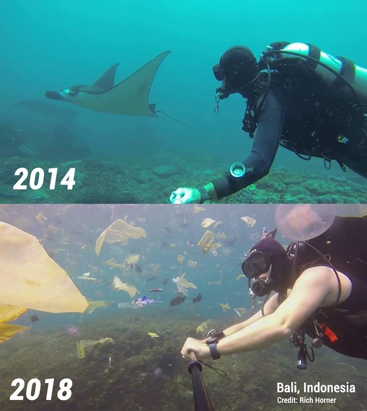 Ảnh: BrightSide Ảnh: BrightSide