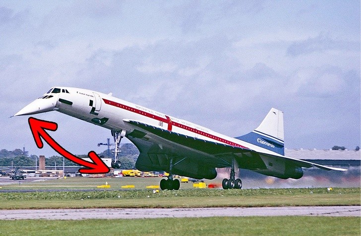 Ảnh: BrightSide Ảnh: BrightSide