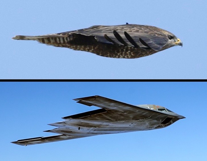 Ảnh: BrightSide Ảnh: BrightSide