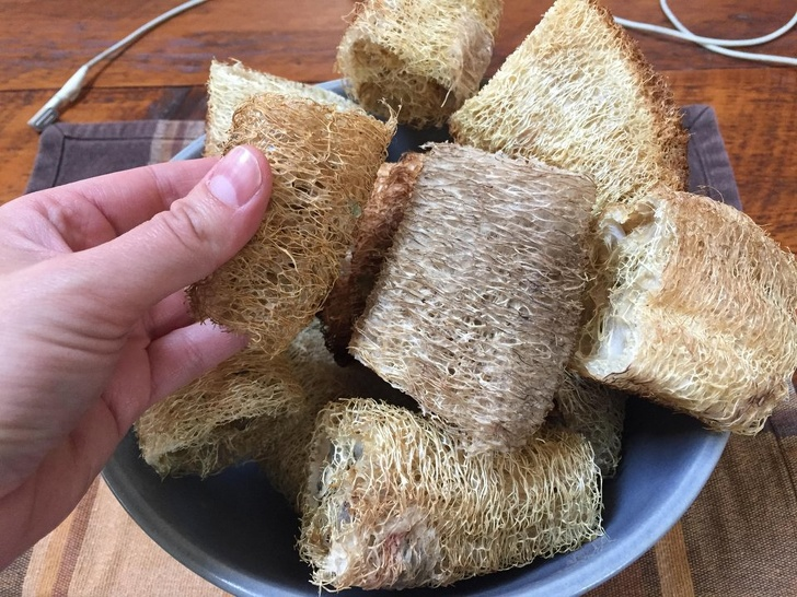 Ảnh: BrightSide Ảnh: BrightSide