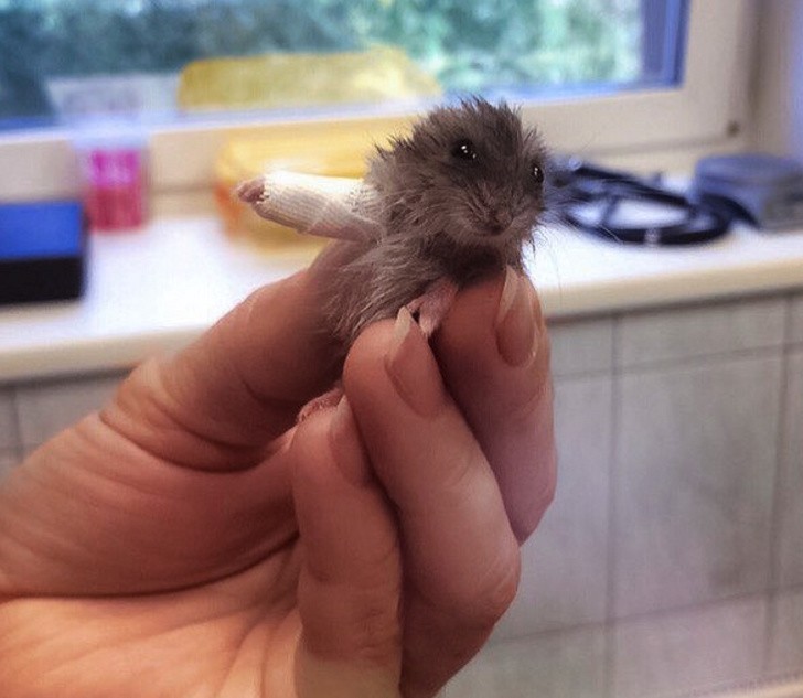 Ảnh: BrightSide Ảnh :BrightSide