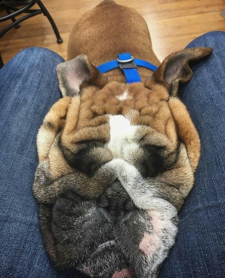 Ảnh: BrightSide Ảnh :BrightSide