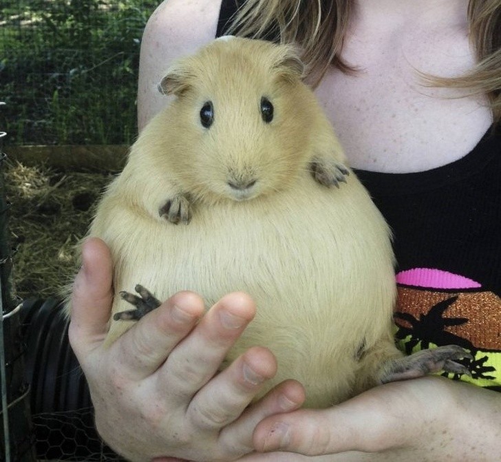 Ảnh: BrightSide Ảnh :BrightSide