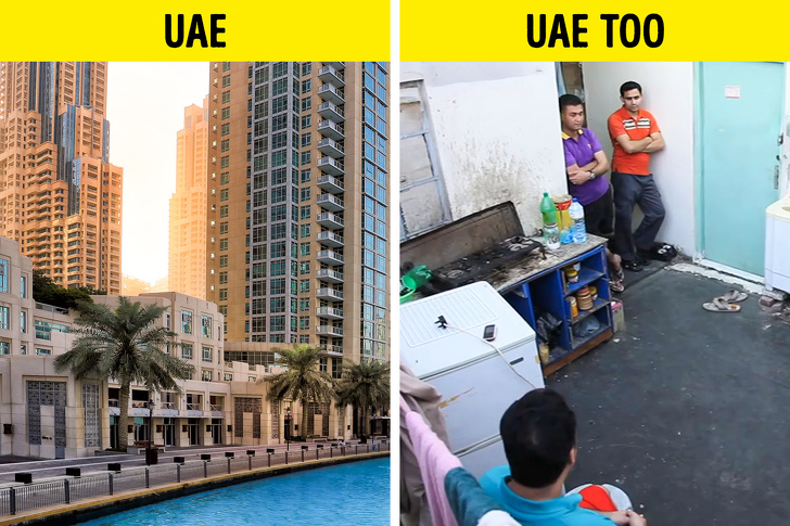 Ảnh: BrightSide Ảnh: BrightSide