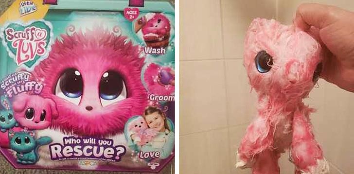 Ảnh: BrightSide Ảnh: BrightSide